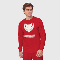 Костюм хлопковый мужской Лунные волки лого винтаж, цвет: красный — фото 2