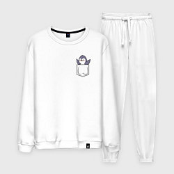 Мужской костюм Пингвин в кармашке