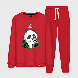 Костюм хлопковый мужской Спящая панда ZZZ, цвет: красный