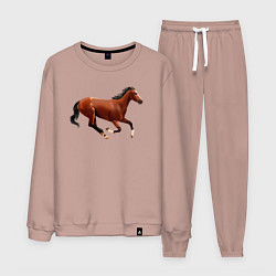 Костюм хлопковый мужской Чистокровная верховая лошадь, цвет: пыльно-розовый