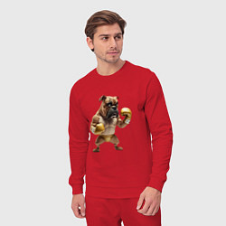 Костюм хлопковый мужской Собака занимается боксом, цвет: красный — фото 2
