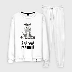 Мужской костюм Зебра я тут самый главный