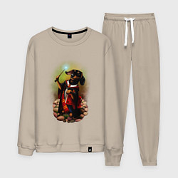 Мужской костюм Такса Волшебник колдует