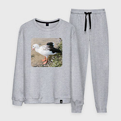 Костюм хлопковый мужской Андский гусь, цвет: меланж