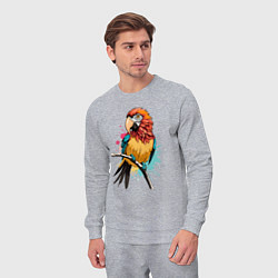 Костюм хлопковый мужской Акварельный попугай, цвет: меланж — фото 2