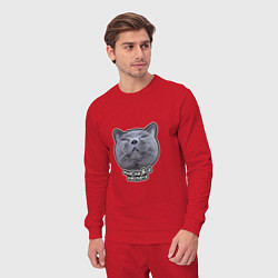Костюм хлопковый мужской Кот мне на всё наспать, цвет: красный — фото 2