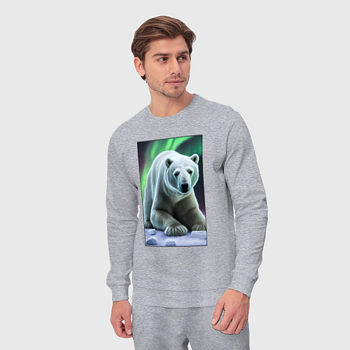 Мужской костюм Полярный медведь на снегу / Меланж – фото 3