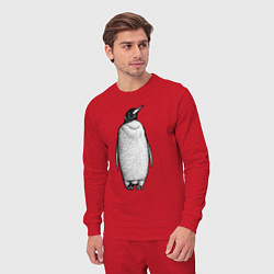 Костюм хлопковый мужской Пингвин стоит анфас, цвет: красный — фото 2
