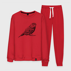 Костюм хлопковый мужской Любопытный попугай, цвет: красный