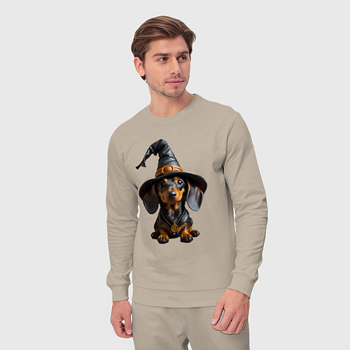 Мужской костюм Такса в шляпе ведьмы хэллоуин / Миндальный – фото 3