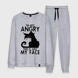 Мужской костюм I am not angry cat