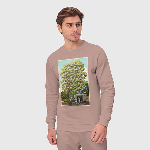 Мужской костюм Хаяо Миядзаки - studio ghibli / Пыльно-розовый – фото 3