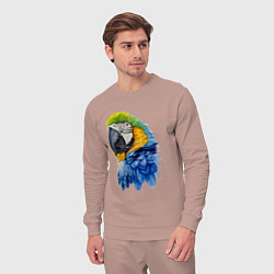 Костюм хлопковый мужской Сине-золотой попугай ара, цвет: пыльно-розовый — фото 2