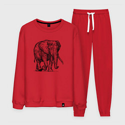 Костюм хлопковый мужской Слон идет, цвет: красный