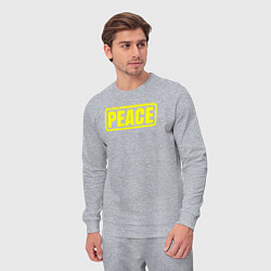 Костюм хлопковый мужской Выбери мир, цвет: меланж — фото 2