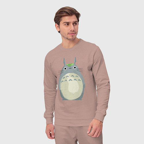 Мужской костюм Neighbor Totoro / Пыльно-розовый – фото 3