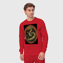 Костюм хлопковый мужской Дракон Муай Тай, цвет: красный — фото 2