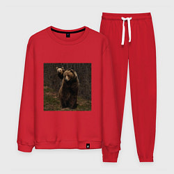 Костюм хлопковый мужской Медведи гуляют по лесу, цвет: красный