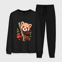Мужской костюм The Red Panda