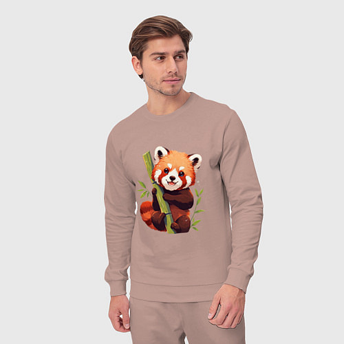 Мужской костюм The Red Panda / Пыльно-розовый – фото 3
