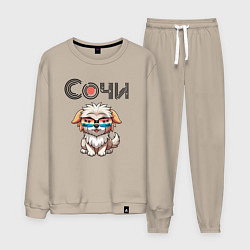 Костюм хлопковый мужской Сочи собака в очках, цвет: миндальный