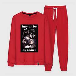 Мужской костюм Human by chance, alpha by choice