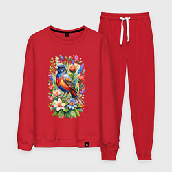 Костюм хлопковый мужской Расписной овсянковый кардинал, цвет: красный