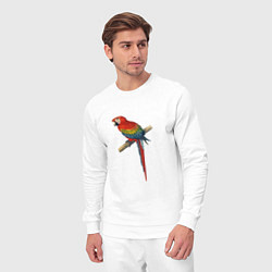 Костюм хлопковый мужской Попугай ara macaw, цвет: белый — фото 2