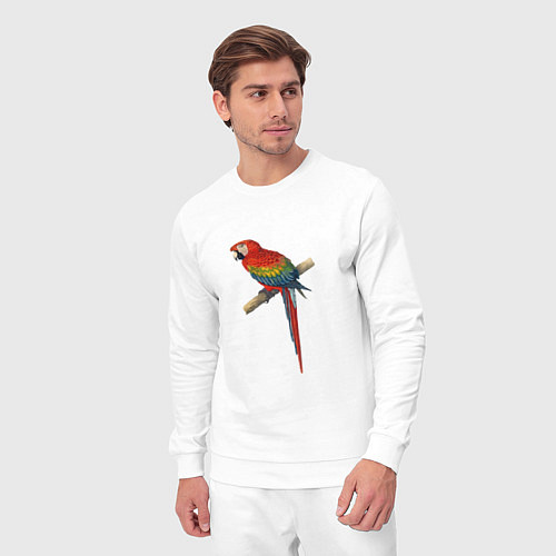 Мужской костюм Попугай ara macaw / Белый – фото 3