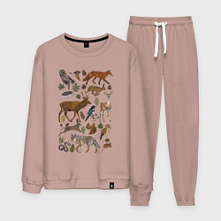 Мужской костюм Лесные животные и птицы