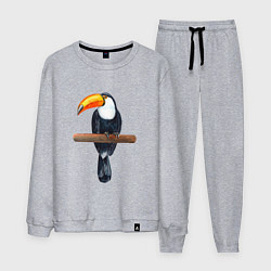 Костюм хлопковый мужской Тукан, цвет: меланж