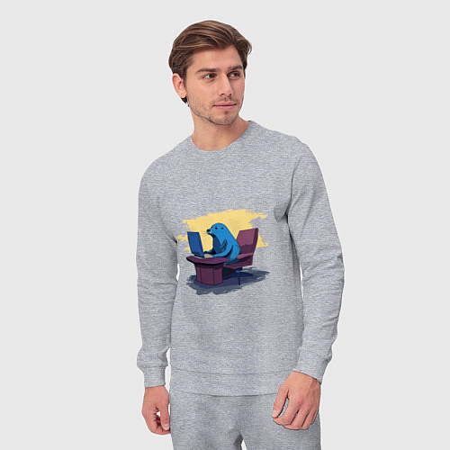 Мужской костюм Тюлень за компьютером / Меланж – фото 3