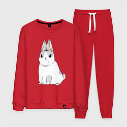 Мужской костюм Кролик жует траву