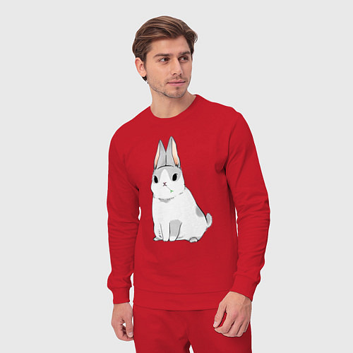 Мужской костюм Кролик жует траву / Красный – фото 3
