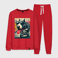 Мужской костюм Бультерьер управляет мотоциклом - граффити