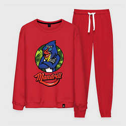 Мужской костюм Mandrill