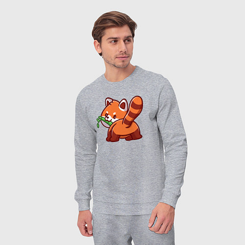 Мужской костюм Игривая красная панда / Меланж – фото 3