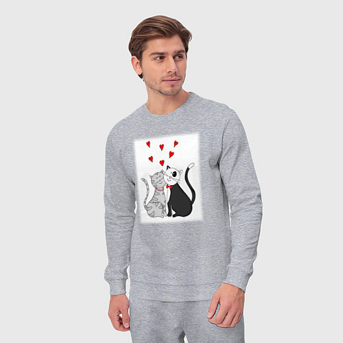 Мужской костюм Любовь хвостатых / Меланж – фото 3