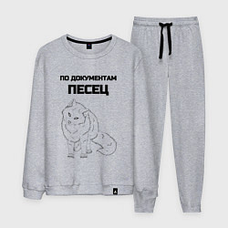 Мужской костюм По документам песец