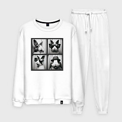 Мужской костюм Кролик в фотобудке