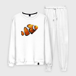 Мужской костюм Рыбка попугай