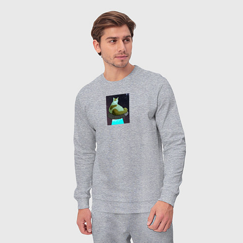 Мужской костюм Кото мем на тарелке инопланетян / Меланж – фото 3