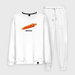 Мужской костюм Антон Морковь