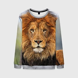 Свитшот мужской Красавец лев, цвет: 3D-меланж