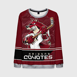 Мужской свитшот Arizona Coyotes