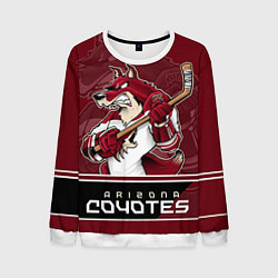 Мужской свитшот Arizona Coyotes