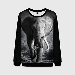 Свитшот мужской Бегущий слон, цвет: 3D-черный
