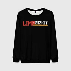 Свитшот мужской Limp Bizkit, цвет: 3D-черный