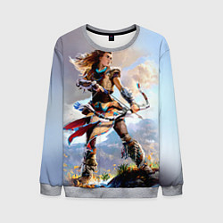 Мужской свитшот HZD 4