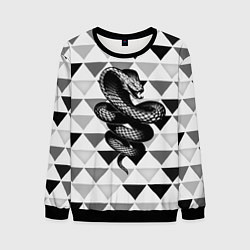 Мужской свитшот Snake Geometric